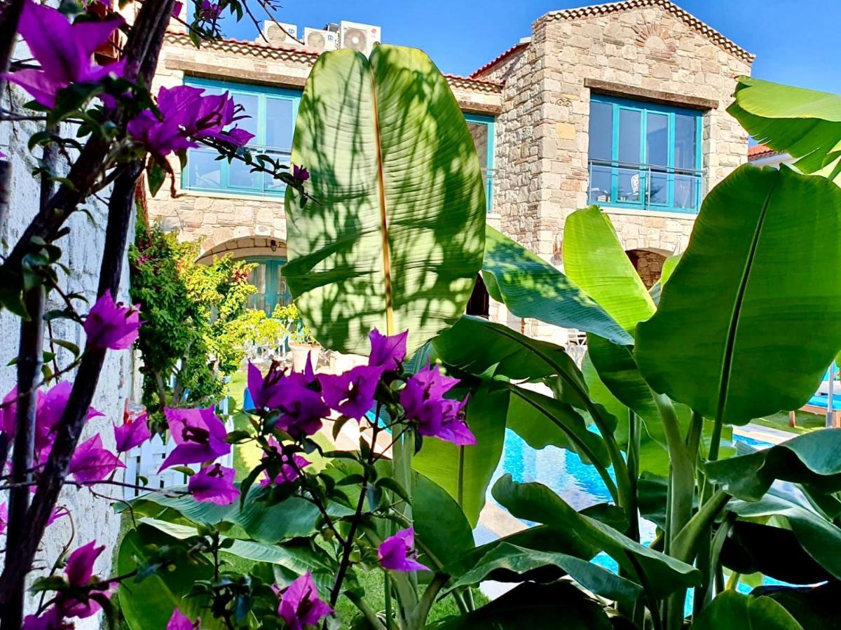 Windmill Alaçatı Esterno foto